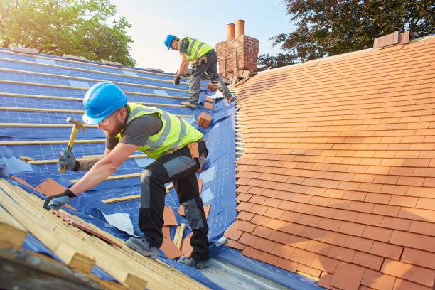 Best Roof Insulation Installation  in Temple, GA